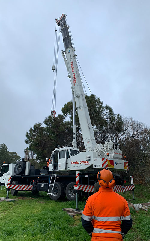 tree removals lopping stump grinding adelaide