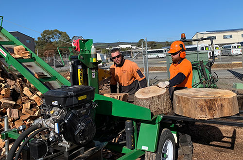 tree removals lopping stump grinding adelaide